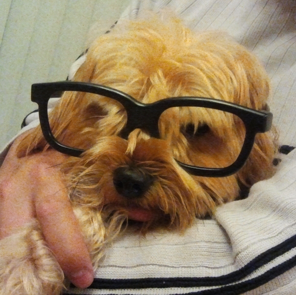 Meet your Posher, Christina - Picture 4 of 4